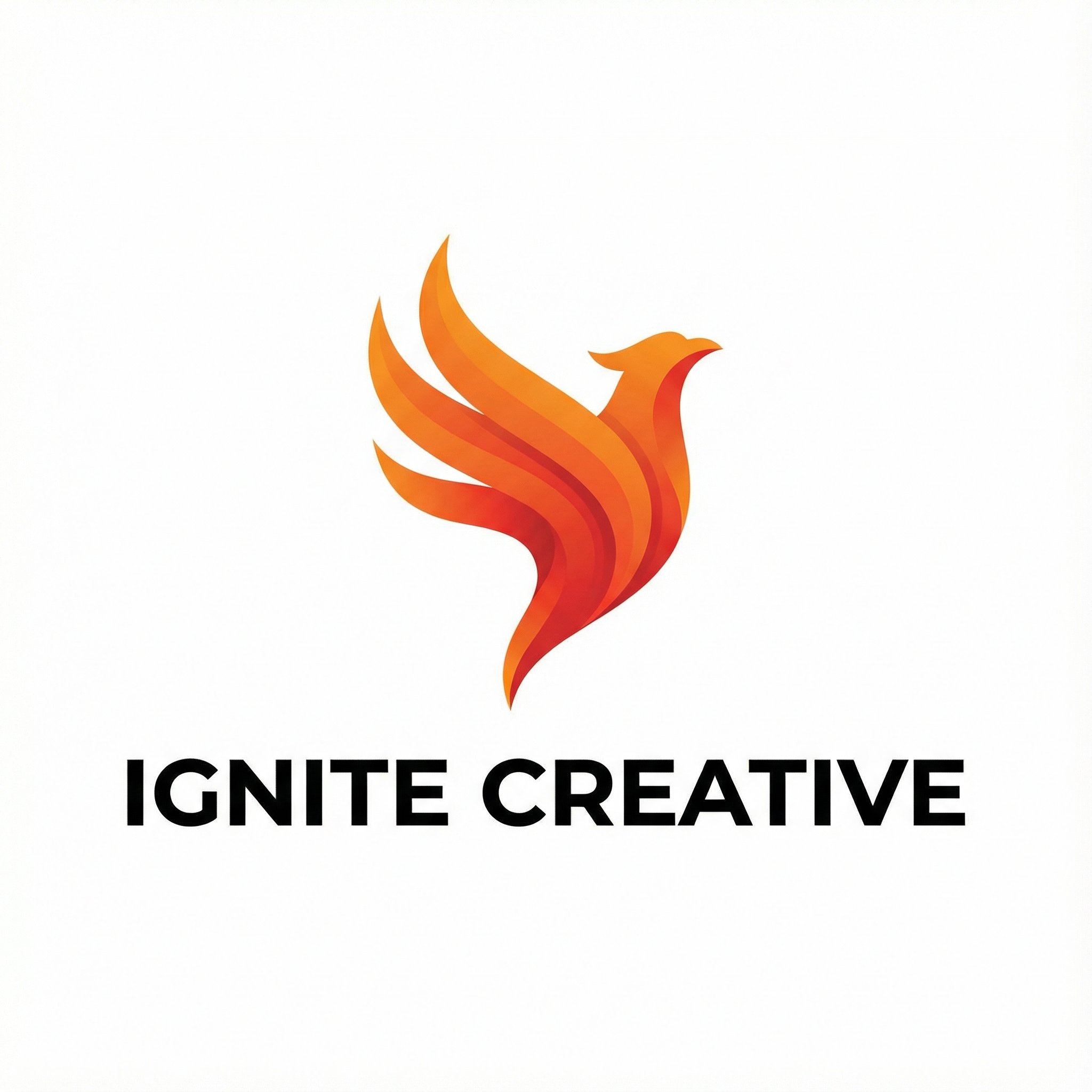 星空传媒合作伙伴